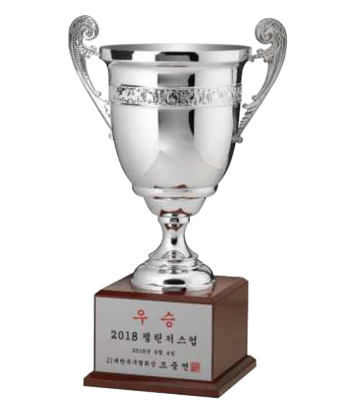 시상 우승 챔피언 MVP 일반 금속 트로피 TR8-179-05
