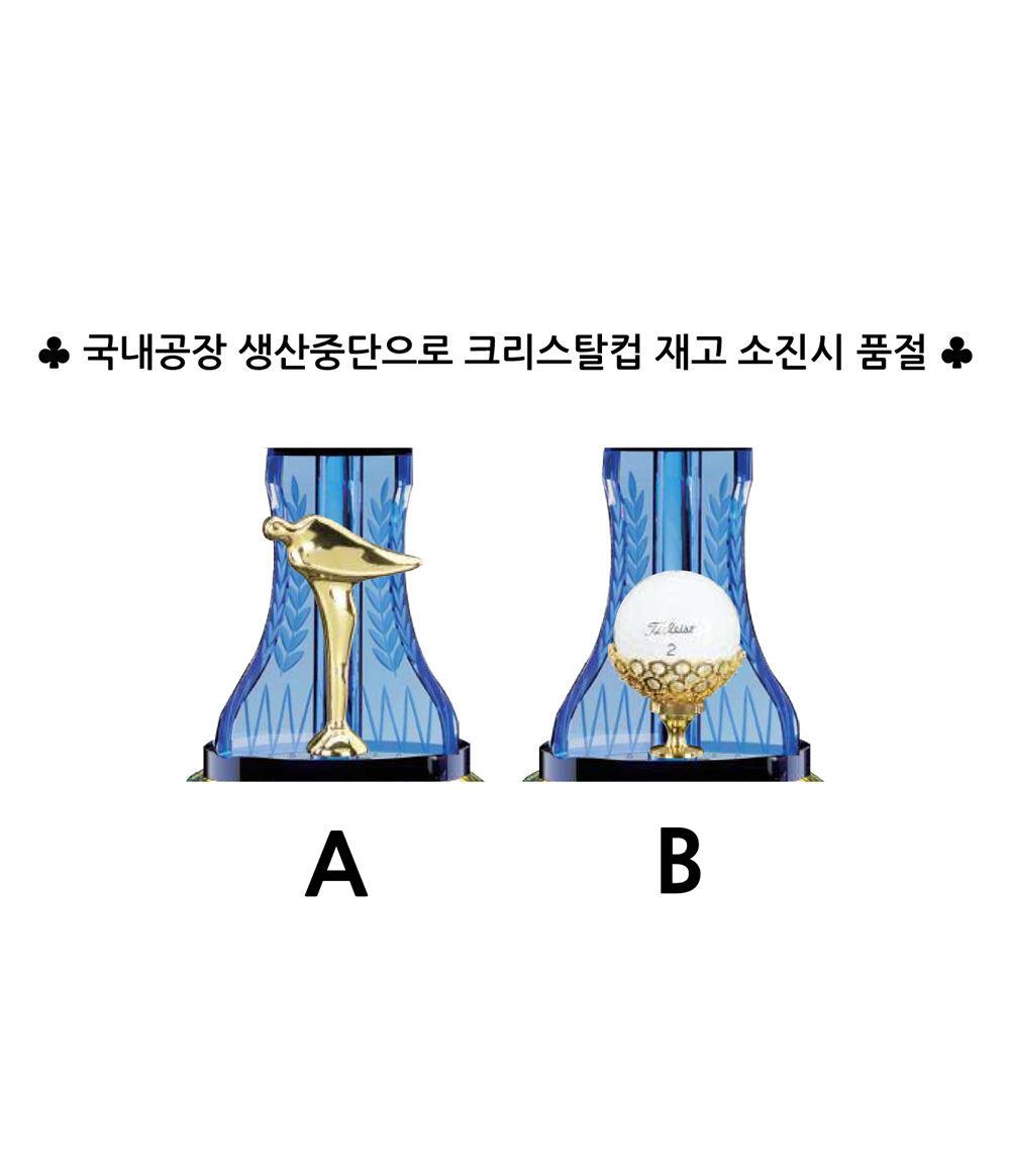 골프 홀인원 크리스탈컵 트로피 TR8-332-01
